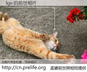 #孟婆前世照相馆# 【lige 的前世相片】我们都曾从奈何桥上走过，喝下三碗忘川之水烹煮的孟婆汤，忘却了前尘旧事。孟婆前世照相馆，保存着你前世的数码相片。lige 的前世相片，有图有真相：