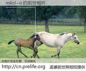 #孟婆前世照相馆# 【m4a1-a 的前世相片】我们都曾从奈何桥上走过，喝下三碗忘川之水烹煮的孟婆汤，忘却了前尘旧事。孟婆前世照相馆，保存着你前世的数码相片。m4a1-a 的前世相片，有图有真相：