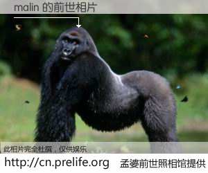 #孟婆前世照相馆# 【malin 的前世相片】我们都曾从奈何桥上走过，喝下三碗忘川之水烹煮的孟婆汤，忘却了前尘旧事。孟婆前世照相馆，保存着你前世的数码相片。malin 的前世相片，有图有真相：