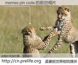 #孟婆前世照相馆# 【mamsa pin code 的前世相片】我们都曾从奈何桥上走过，喝下三碗忘川之水烹煮的孟婆汤，忘却了前尘旧事。孟婆前世照相馆，保存着你前世的数码相片。mamsa pin code 的前世相片，有图有真相：