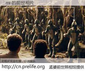 #孟婆前世照相馆# 【mt 的前世相片】我们都曾从奈何桥上走过，喝下三碗忘川之水烹煮的孟婆汤，忘却了前尘旧事。孟婆前世照相馆，保存着你前世的数码相片。mt 的前世相片，有图有真相：