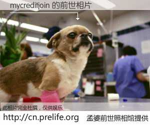 #孟婆前世照相馆# 【mycreditjoin 的前世相片】我们都曾从奈何桥上走过，喝下三碗忘川之水烹煮的孟婆汤，忘却了前尘旧事。孟婆前世照相馆，保存着你前世的数码相片。mycreditjoin 的前世相片，有图有真相：