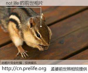 #孟婆前世照相馆# 【not life 的前世相片】我们都曾从奈何桥上走过，喝下三碗忘川之水烹煮的孟婆汤，忘却了前尘旧事。孟婆前世照相馆，保存着你前世的数码相片。not life 的前世相片，有图有真相：