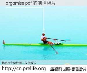 #孟婆前世照相馆# 【orgamise pdf 的前世相片】我们都曾从奈何桥上走过，喝下三碗忘川之水烹煮的孟婆汤，忘却了前尘旧事。孟婆前世照相馆，保存着你前世的数码相片。orgamise pdf 的前世相片，有图有真相：