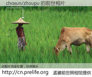 #孟婆前世照相馆# 【chaxun/zhoupu 的前世相片】我们都曾从奈何桥上走过，喝下三碗忘川之水烹煮的孟婆汤，忘却了前尘旧事。孟婆前世照相馆，保存着你前世的数码相片。chaxun/zhoupu 的前世相片，有图有真相：