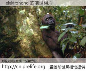 #孟婆前世照相馆# 【elektrohand 的前世相片】我们都曾从奈何桥上走过，喝下三碗忘川之水烹煮的孟婆汤，忘却了前尘旧事。孟婆前世照相馆，保存着你前世的数码相片。elektrohand 的前世相片，有图有真相：