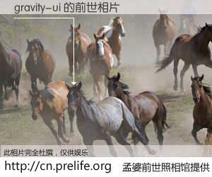#孟婆前世照相馆# 【gravity-ui 的前世相片】我们都曾从奈何桥上走过，喝下三碗忘川之水烹煮的孟婆汤，忘却了前尘旧事。孟婆前世照相馆，保存着你前世的数码相片。gravity-ui 的前世相片，有图有真相：
