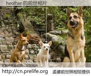 #孟婆前世照相馆# 【heather 的前世相片】我们都曾从奈何桥上走过，喝下三碗忘川之水烹煮的孟婆汤，忘却了前尘旧事。孟婆前世照相馆，保存着你前世的数码相片。heather 的前世相片，有图有真相：