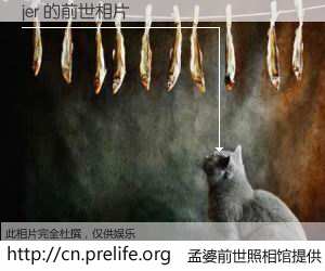 #孟婆前世照相馆# 【jer 的前世相片】我们都曾从奈何桥上走过，喝下三碗忘川之水烹煮的孟婆汤，忘却了前尘旧事。孟婆前世照相馆，保存着你前世的数码相片。jer 的前世相片，有图有真相：