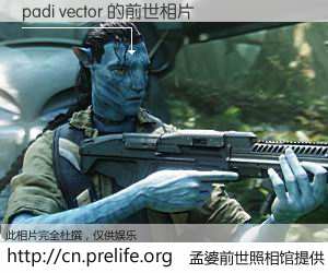 #孟婆前世照相馆# 【padi vector 的前世相片】我们都曾从奈何桥上走过，喝下三碗忘川之水烹煮的孟婆汤，忘却了前尘旧事。孟婆前世照相馆，保存着你前世的数码相片。padi vector 的前世相片，有图有真相：