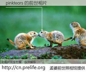 #孟婆前世照相馆# 【pinktears 的前世相片】我们都曾从奈何桥上走过，喝下三碗忘川之水烹煮的孟婆汤，忘却了前尘旧事。孟婆前世照相馆，保存着你前世的数码相片。pinktears 的前世相片，有图有真相：