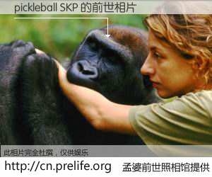 #孟婆前世照相馆# 【pickleball SKP 的前世相片】我们都曾从奈何桥上走过，喝下三碗忘川之水烹煮的孟婆汤，忘却了前尘旧事。孟婆前世照相馆，保存着你前世的数码相片。pickleball SKP 的前世相片，有图有真相：