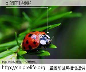 #孟婆前世照相馆# 【q 的前世相片】我们都曾从奈何桥上走过，喝下三碗忘川之水烹煮的孟婆汤，忘却了前尘旧事。孟婆前世照相馆，保存着你前世的数码相片。q 的前世相片，有图有真相：