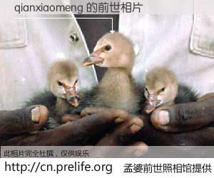 #孟婆前世照相馆# 【qianxiaomeng 的前世相片】我们都曾从奈何桥上走过，喝下三碗忘川之水烹煮的孟婆汤，忘却了前尘旧事。孟婆前世照相馆，保存着你前世的数码相片。qianxiaomeng 的前世相片，有图有真相：
