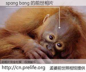 #孟婆前世照相馆# 【spang bang 的前世相片】我们都曾从奈何桥上走过，喝下三碗忘川之水烹煮的孟婆汤，忘却了前尘旧事。孟婆前世照相馆，保存着你前世的数码相片。spang bang 的前世相片，有图有真相：