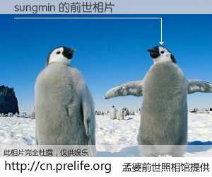 #孟婆前世照相馆# 【sungmin 的前世相片】我们都曾从奈何桥上走过，喝下三碗忘川之水烹煮的孟婆汤，忘却了前尘旧事。孟婆前世照相馆，保存着你前世的数码相片。sungmin 的前世相片，有图有真相：