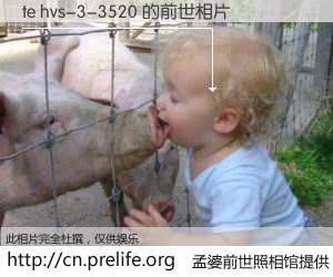 #孟婆前世照相馆# 【te hvs-3-3520 的前世相片】我们都曾从奈何桥上走过，喝下三碗忘川之水烹煮的孟婆汤，忘却了前尘旧事。孟婆前世照相馆，保存着你前世的数码相片。te hvs-3-3520 的前世相片，有图有真相：
