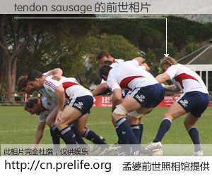 #孟婆前世照相馆# 【tendon sausage 的前世相片】我们都曾从奈何桥上走过，喝下三碗忘川之水烹煮的孟婆汤，忘却了前尘旧事。孟婆前世照相馆，保存着你前世的数码相片。tendon sausage 的前世相片，有图有真相：