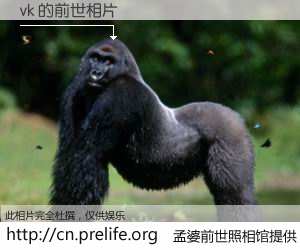 #孟婆前世照相馆# 【vk 的前世相片】我们都曾从奈何桥上走过，喝下三碗忘川之水烹煮的孟婆汤，忘却了前尘旧事。孟婆前世照相馆，保存着你前世的数码相片。vk 的前世相片，有图有真相：