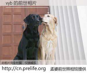 #孟婆前世照相馆# 【vyb 的前世相片】我们都曾从奈何桥上走过，喝下三碗忘川之水烹煮的孟婆汤，忘却了前尘旧事。孟婆前世照相馆，保存着你前世的数码相片。vyb 的前世相片，有图有真相：