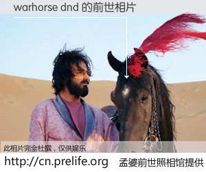 #孟婆前世照相馆# 【warhorse dnd 的前世相片】我们都曾从奈何桥上走过，喝下三碗忘川之水烹煮的孟婆汤，忘却了前尘旧事。孟婆前世照相馆，保存着你前世的数码相片。warhorse dnd 的前世相片，有图有真相：