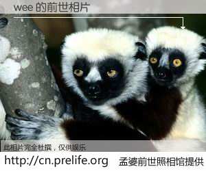 #孟婆前世照相馆# 【wee 的前世相片】我们都曾从奈何桥上走过，喝下三碗忘川之水烹煮的孟婆汤，忘却了前尘旧事。孟婆前世照相馆，保存着你前世的数码相片。wee 的前世相片，有图有真相：
