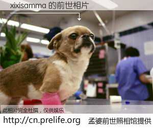 #孟婆前世照相馆# 【xixisamma 的前世相片】我们都曾从奈何桥上走过，喝下三碗忘川之水烹煮的孟婆汤，忘却了前尘旧事。孟婆前世照相馆，保存着你前世的数码相片。xixisamma 的前世相片，有图有真相：