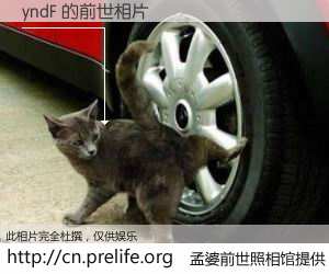 #孟婆前世照相馆# 【yndF 的前世相片】我们都曾从奈何桥上走过，喝下三碗忘川之水烹煮的孟婆汤，忘却了前尘旧事。孟婆前世照相馆，保存着你前世的数码相片。yndF 的前世相片，有图有真相：