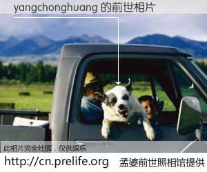 #孟婆前世照相馆# 【yangchonghuang 的前世相片】我们都曾从奈何桥上走过，喝下三碗忘川之水烹煮的孟婆汤，忘却了前尘旧事。孟婆前世照相馆，保存着你前世的数码相片。yangchonghuang 的前世相片，有图有真相：