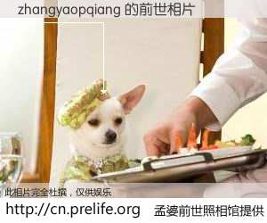 #孟婆前世照相馆# 【zhangyaopqiang 的前世相片】我们都曾从奈何桥上走过，喝下三碗忘川之水烹煮的孟婆汤，忘却了前尘旧事。孟婆前世照相馆，保存着你前世的数码相片。zhangyaopqiang 的前世相片，有图有真相：