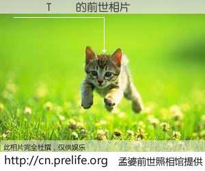 #孟婆前世照相馆# 【���T�� 的前世相片】我们都曾从奈何桥上走过，喝下三碗忘川之水烹煮的孟婆汤，忘却了前尘旧事。孟婆前世照相馆，保存着你前世的数码相片。���T�� 的前世相片，有图有真相：