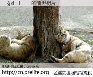 #孟婆前世照相馆# 【�d�|�� 的前世相片】我们都曾从奈何桥上走过，喝下三碗忘川之水烹煮的孟婆汤，忘却了前尘旧事。孟婆前世照相馆，保存着你前世的数码相片。�d�|�� 的前世相片，有图有真相：