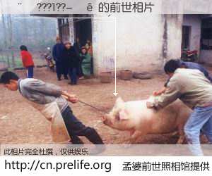 #孟婆前世照相馆# 【��???1??-�� 的前世相片】我们都曾从奈何桥上走过，喝下三碗忘川之水烹煮的孟婆汤，忘却了前尘旧事。孟婆前世照相馆，保存着你前世的数码相片。��???1??-�� 的前世相片，有图有真相：