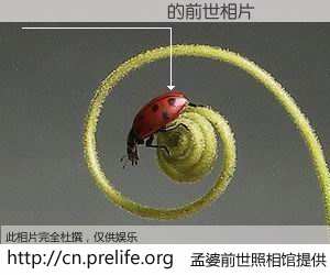 #孟婆前世照相馆# 【�������� 的前世相片】我们都曾从奈何桥上走过，喝下三碗忘川之水烹煮的孟婆汤，忘却了前尘旧事。孟婆前世照相馆，保存着你前世的数码相片。�������� 的前世相片，有图有真相：