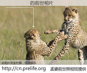 #孟婆前世照相馆# 【����¶ 的前世相片】我们都曾从奈何桥上走过，喝下三碗忘川之水烹煮的孟婆汤，忘却了前尘旧事。孟婆前世照相馆，保存着你前世的数码相片。����¶ 的前世相片，有图有真相：