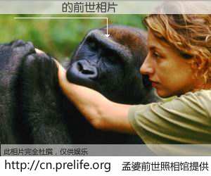 #孟婆前世照相馆# 【̷�ǲ� 的前世相片】我们都曾从奈何桥上走过，喝下三碗忘川之水烹煮的孟婆汤，忘却了前尘旧事。孟婆前世照相馆，保存着你前世的数码相片。̷�ǲ� 的前世相片，有图有真相：