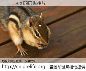 #孟婆前世照相馆# 【¬���� 的前世相片】我们都曾从奈何桥上走过，喝下三碗忘川之水烹煮的孟婆汤，忘却了前尘旧事。孟婆前世照相馆，保存着你前世的数码相片。¬���� 的前世相片，有图有真相：