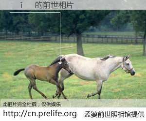 #孟婆前世照相馆# 【ƽ 的前世相片】我们都曾从奈何桥上走过，喝下三碗忘川之水烹煮的孟婆汤，忘却了前尘旧事。孟婆前世照相馆，保存着你前世的数码相片。ƽ 的前世相片，有图有真相：