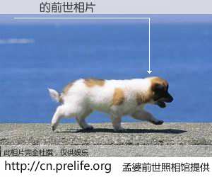 #孟婆前世照相馆# 【Īٻ 的前世相片】我们都曾从奈何桥上走过，喝下三碗忘川之水烹煮的孟婆汤，忘却了前尘旧事。孟婆前世照相馆，保存着你前世的数码相片。Īٻ 的前世相片，有图有真相：