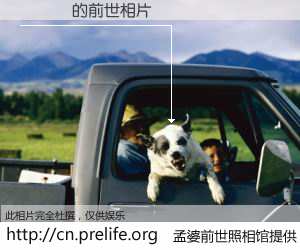 #孟婆前世照相馆# 【Ҷ͢� 的前世相片】我们都曾从奈何桥上走过，喝下三碗忘川之水烹煮的孟婆汤，忘却了前尘旧事。孟婆前世照相馆，保存着你前世的数码相片。Ҷ͢� 的前世相片，有图有真相：