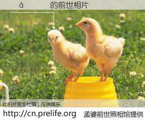 #孟婆前世照相馆# 【��̵� 的前世相片】我们都曾从奈何桥上走过，喝下三碗忘川之水烹煮的孟婆汤，忘却了前尘旧事。孟婆前世照相馆，保存着你前世的数码相片。��̵� 的前世相片，有图有真相：