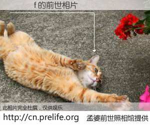 #孟婆前世照相馆# 【׿��f 的前世相片】我们都曾从奈何桥上走过，喝下三碗忘川之水烹煮的孟婆汤，忘却了前尘旧事。孟婆前世照相馆，保存着你前世的数码相片。׿��f 的前世相片，有图有真相：