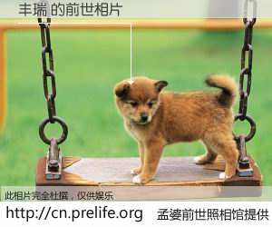 #孟婆前世照相馆# 【丰瑞 的前世相片】我们都曾从奈何桥上走过，喝下三碗忘川之水烹煮的孟婆汤，忘却了前尘旧事。孟婆前世照相馆，保存着你前世的数码相片。丰瑞 的前世相片，有图有真相：