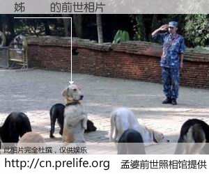 #孟婆前世照相馆# 【姊佺 的前世相片】我们都曾从奈何桥上走过，喝下三碗忘川之水烹煮的孟婆汤，忘却了前尘旧事。孟婆前世照相馆，保存着你前世的数码相片。姊佺 的前世相片，有图有真相：