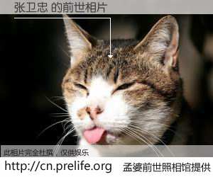 #孟婆前世照相馆# 【张卫忠 的前世相片】我们都曾从奈何桥上走过，喝下三碗忘川之水烹煮的孟婆汤，忘却了前尘旧事。孟婆前世照相馆，保存着你前世的数码相片。张卫忠 的前世相片，有图有真相：