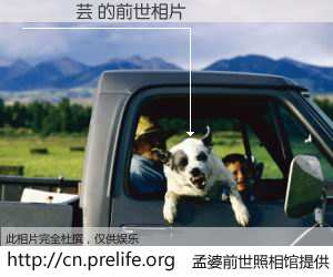 #孟婆前世照相馆# 【張簡詩芸 的前世相片】我们都曾从奈何桥上走过，喝下三碗忘川之水烹煮的孟婆汤，忘却了前尘旧事。孟婆前世照相馆，保存着你前世的数码相片。張簡詩芸 的前世相片，有图有真相：