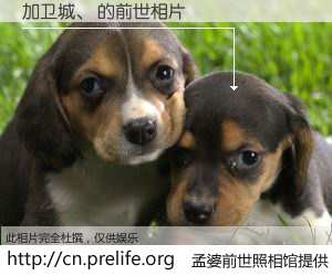 #孟婆前世照相馆# 【加卫城、 的前世相片】我们都曾从奈何桥上走过，喝下三碗忘川之水烹煮的孟婆汤，忘却了前尘旧事。孟婆前世照相馆，保存着你前世的数码相片。加卫城、 的前世相片，有图有真相：