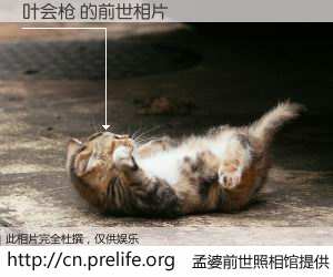 #孟婆前世照相馆# 【叶会枪 的前世相片】我们都曾从奈何桥上走过，喝下三碗忘川之水烹煮的孟婆汤，忘却了前尘旧事。孟婆前世照相馆，保存着你前世的数码相片。叶会枪 的前世相片，有图有真相：