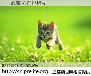 #孟婆前世照相馆# 【楊心蕙 的前世相片】我们都曾从奈何桥上走过，喝下三碗忘川之水烹煮的孟婆汤，忘却了前尘旧事。孟婆前世照相馆，保存着你前世的数码相片。楊心蕙 的前世相片，有图有真相：