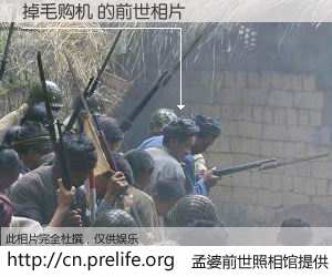 #孟婆前世照相馆# 【掉毛购机 的前世相片】我们都曾从奈何桥上走过，喝下三碗忘川之水烹煮的孟婆汤，忘却了前尘旧事。孟婆前世照相馆，保存着你前世的数码相片。掉毛购机 的前世相片，有图有真相：